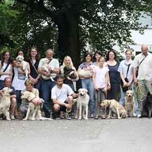 Chiens pour aveugles