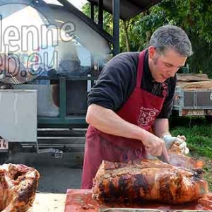 Cheval de trait ardennais-481 Cheval de trait ardennais-481
