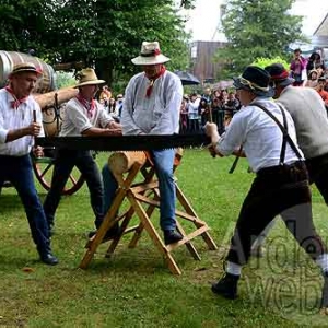 Myrtilles de Vielsalm-448