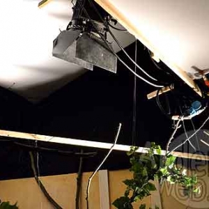 TSF.be -4589 TSF.be -4589