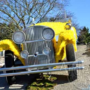 Carnaval de Jalhay_2040