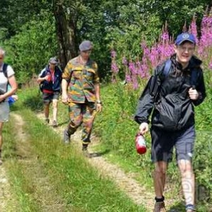 MESA 2011 - Vielsalm - 4290 MESA 2011 - Vielsalm - 4290