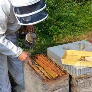 Alain Paublanc-4445 Alain Paublanc-4445