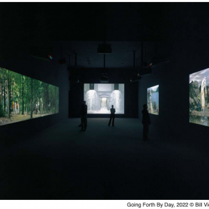 Bill Viola. Sculpteur du temps