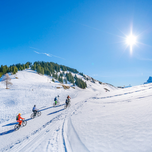 VTT sur neige- Châtel ©S.Cochard