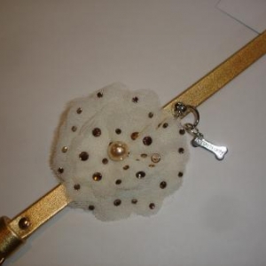 " L'univers animalier " à Hotton ; colliers pour petits chiens " L'univers animalier " à Hotton ; colliers pour petits chiens