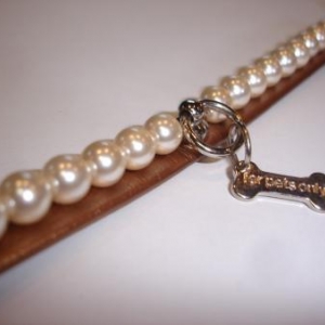 " L'univers animalier " à Hotton ; colliers pour petits chiens " L'univers animalier " à Hotton ; colliers pour petits chiens