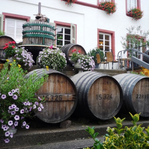 Cochem ( photo Detry )