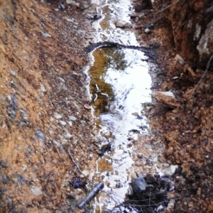 La Vecquée La Vecquée