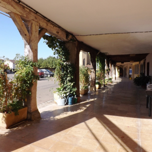 A Lupiac ( photo : F. Detry ) A Lupiac ( photo : F. Detry )