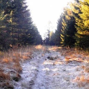 La Vecquée La Vecquée