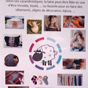 Solvent Verviers ( photo : F. Detry )