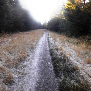 La Vecquée La Vecquée