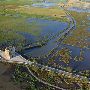 15 Camargue gardoise (Gard)