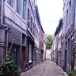 16 Le quartier de "L'Ane rouge"