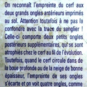 Nous ne sommes pas seuls !! Nous ne sommes pas seuls !!