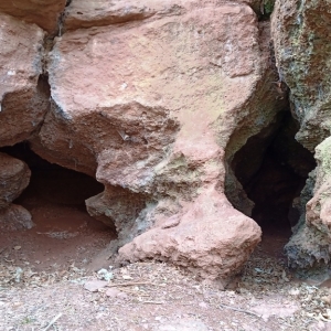Le site de Basse - Bodeux  ( photo François Detry )