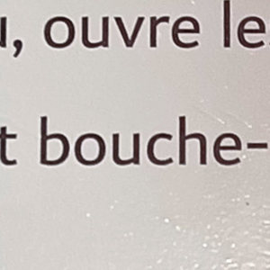 Les Intimistes verviétois au Malmundarium