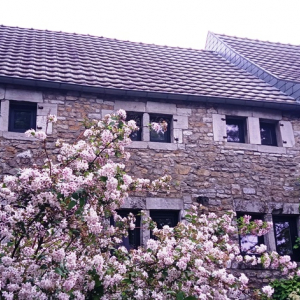 Ancienne ferme typique