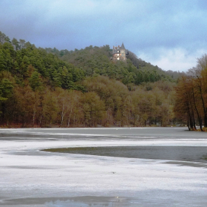 2010-01-17 Lac de Warfaaz ( Photo : F. Detry ) 2010-01-17 Lac de Warfaaz ( Photo : F. Detry )