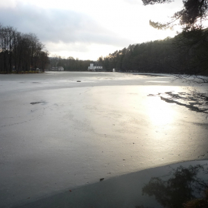 2010-01-17 Lac de Warfaaz ( Photo : F. Detry ) 2010-01-17 Lac de Warfaaz ( Photo : F. Detry )