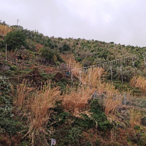 Noël à Riomaggiore ( photo : F. Detry ) Noël à Riomaggiore ( photo : F. Detry )