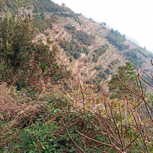 Noël à Riomaggiore ( photo : F. Detry ) Noël à Riomaggiore ( photo : F. Detry )