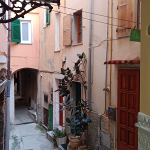 Noël à Riomaggiore ( photo : F. Detry ) Noël à Riomaggiore ( photo : F. Detry )