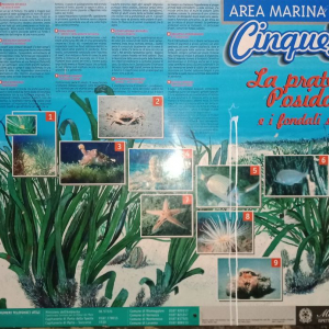 Noël à Riomaggiore ( photo : F. Detry ) Noël à Riomaggiore ( photo : F. Detry )