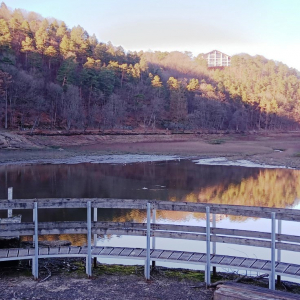 2023-02-13 Lac de Warfaaz ( Photo : F. Detry ) 2023-02-13 Lac de Warfaaz ( Photo : F. Detry )