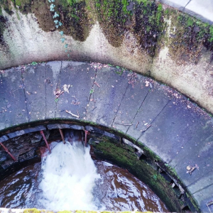 2023-02-13 Lac de Warfaaz ( Photo : F. Detry ) 2023-02-13 Lac de Warfaaz ( Photo : F. Detry )