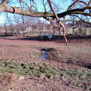 2023-02-13 Lac de Warfaaz ( Photo : F. Detry ) 2023-02-13 Lac de Warfaaz ( Photo : F. Detry )