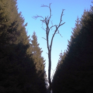 La Vecquée La Vecquée