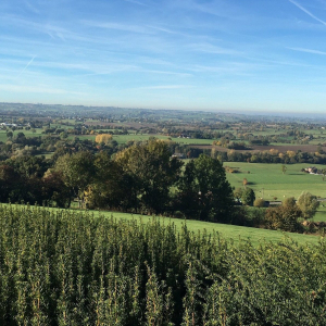 Vue du pays de Herve depuis cimetière américain d' Henri-Chapelle ( photo Detry )