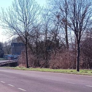 Entrée du virage en S à Masta ( Photo F. Detry )
