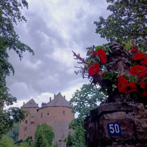 Castelflora 2023 ( photo : F. Detry )