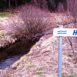 Holzxwarche 2023 ( Photo :F. Detry )