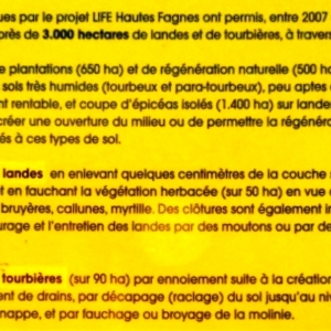 Les travaux entrepris par Life Hautes Fagnes Les travaux entrepris par Life Hautes Fagnes