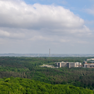 direction le chu direction le chu