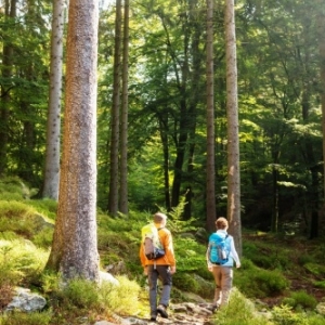 Randonnee pedestre ( Photo Eifel Tourismus )