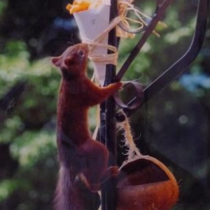Marie - Pascale PETIT Marie - Pascale PETIT
