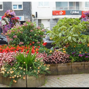 Place de Cochem à Malmedy ( photo DETRY )