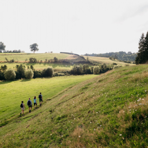 3. La Fagne du Sud ( de Malmedy à Robertville (13 km) et de Robertville à Butgenbach (8,8 km). 