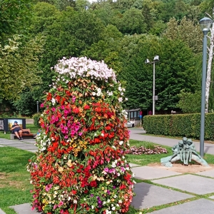 Dans le parc de la Cathédrale