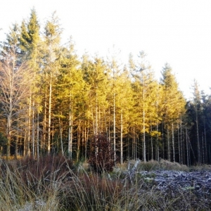 La Vecquée La Vecquée