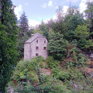 Castelflora à Reinhardstein 2023
