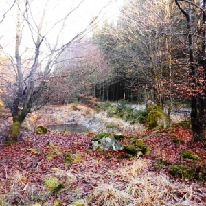 La Vecquée La Vecquée