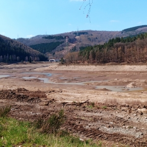 Le lac vide avant travaux  ( photo F. Detry )