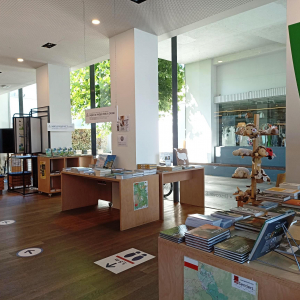Aménagement de la Maison du Tourisme de Malmedy  (c)ostbelgien.eu