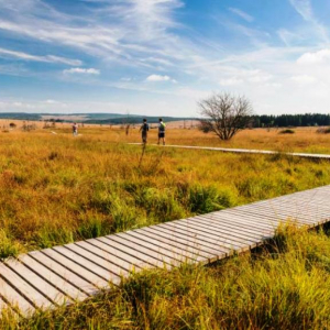 Caillebotis en état ( photo Detry ) Caillebotis en état ( photo Detry )